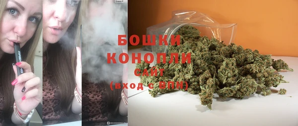 хмурый Лагань