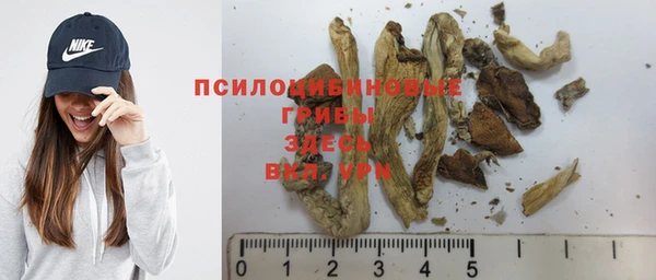 не бодяженный Кукмор