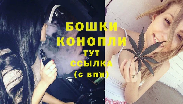 хмурый Лагань