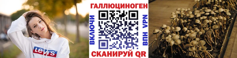Галлюциногенные грибы Magic Shrooms  Лакинск 